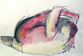 Pignatel-aqua2009-0033.jpg