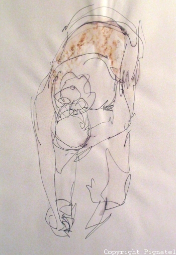 Pignatel-aqua2009-0074.jpg