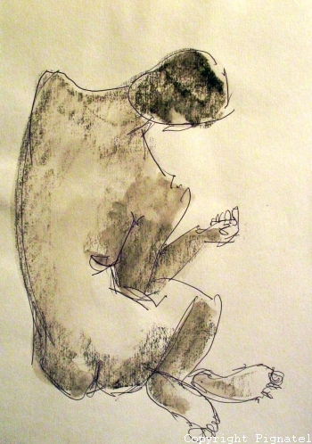 Pignatel-aqua2009-0108.jpg