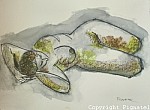 Pignatel-aqua2009-0002.jpg