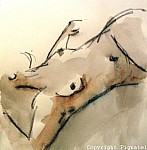 Pignatel-aqua2009-0069.jpg