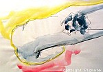 Pignatel-aqua2009-0071.jpg