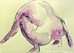 Pignatel-aqua2009-0094.jpg