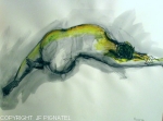 Pignatel-22.jpg