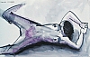 JFP2005-26.jpg