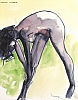 JFP2005-30.jpg