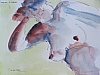 JFP2005-55.jpg