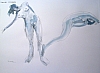 JFP2005-62.jpg