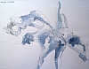 JFP2005-63.jpg