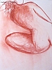 JFP2005-66.jpg